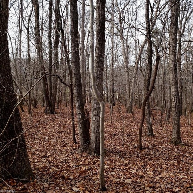 0-B Myrtle St, Asheboro, NC 27205 - photo 1