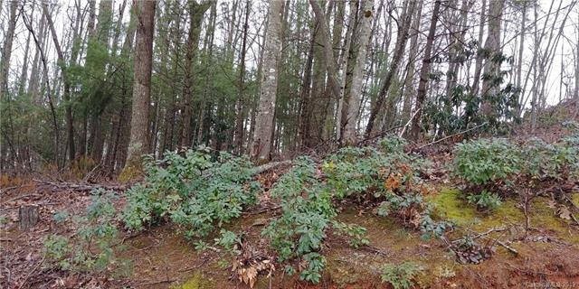 15 Gertrude Ln unit 18A, Candler, NC 28715 - photo 1