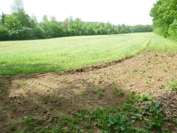 1 Walnut St, Rutland, MA 01543 - photo 1