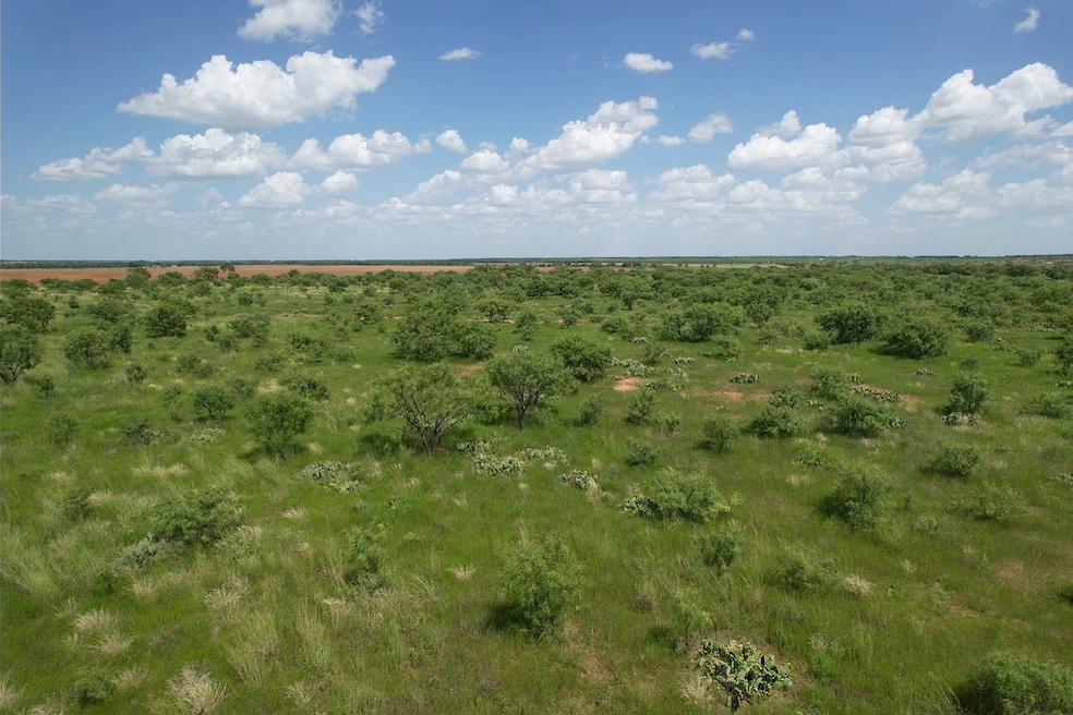Tract 11 TBD Cr 483, Hawley, TX 79525 - photo 1