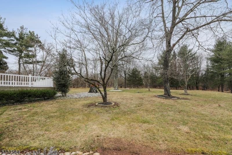 147 Dead Tree Run Rd, Belle Mead, NJ 08502 - photo 1