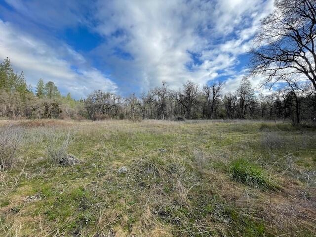 160 Acres Donkey Mine and Madison, Oak Run, CA 96069 - photo 1