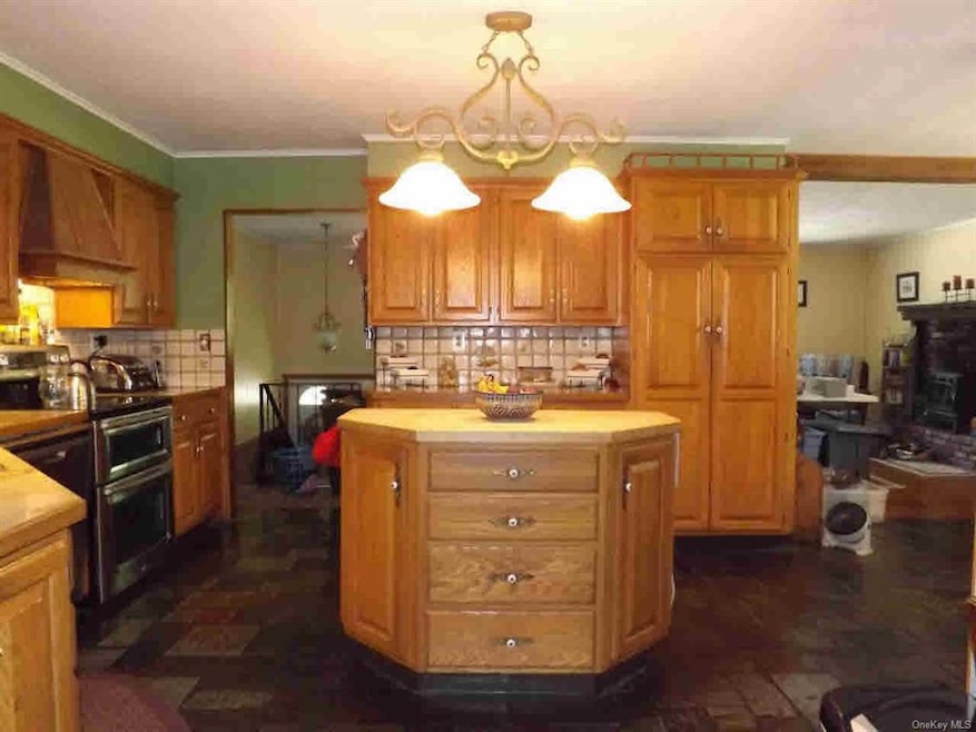 9 10 Mile River Rd, Dover Plains, NY 12522 - photo 1