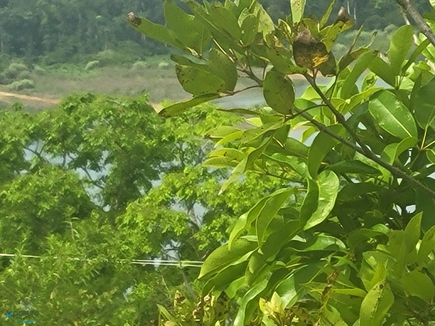 KM 13.8 Barrio Guajataca Quebradilla unit CARR 453, Quebradillas, PR 00678 - photo 1