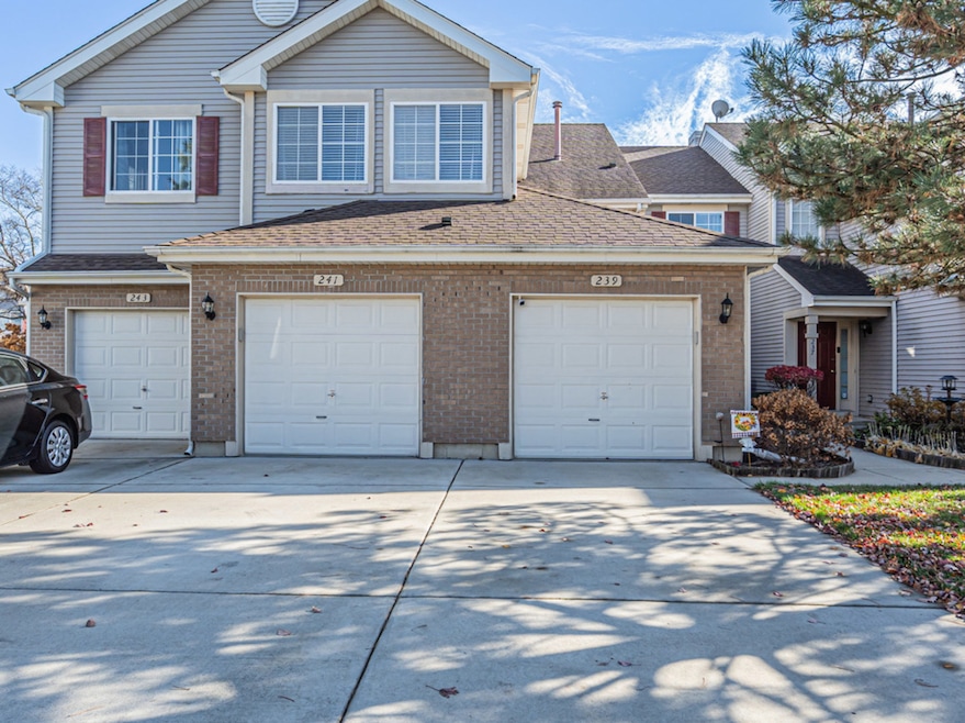 239 Camel Bend Ct unit 4, Schaumburg, IL 60194 - photo 1