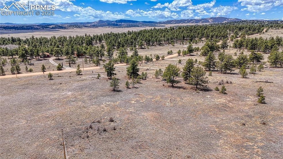 403 Jasper Way, Hartsel, CO 80449 - photo 1