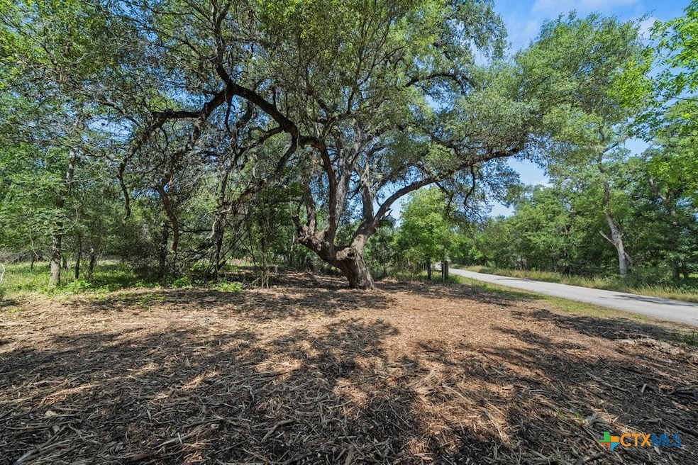 Lot 16