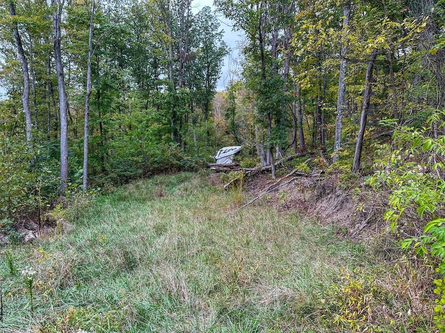 0 Lower Twin Rd, South Salem, OH 45681 - photo 1