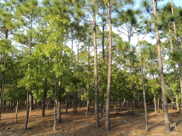 4127 Wyndmere Dr, Saint James, NC 28461 - photo 1