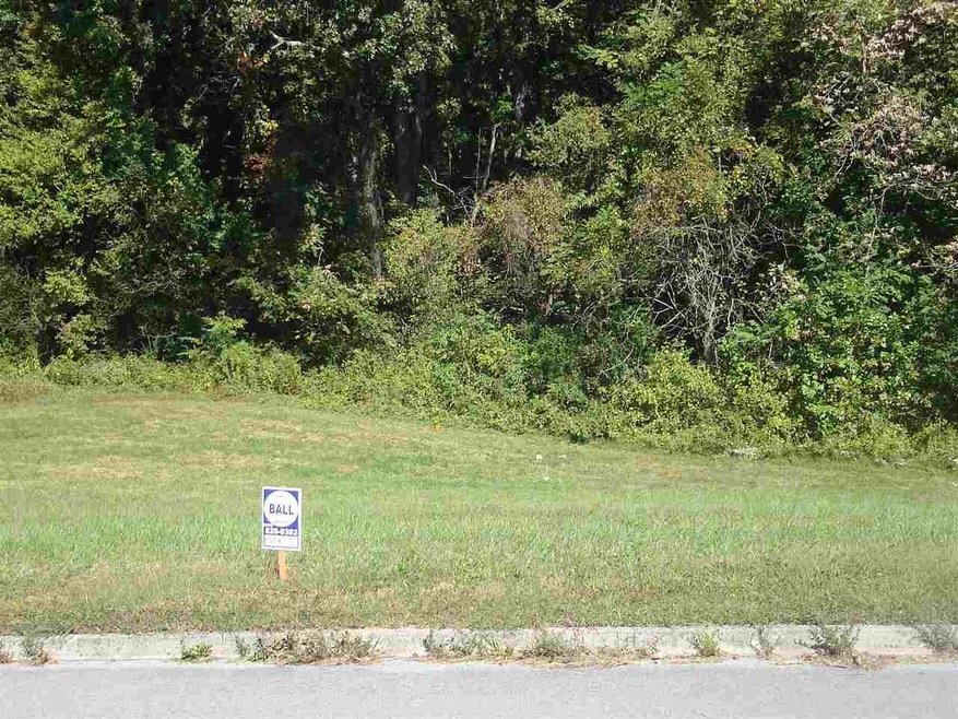 Lot 10 Redbird Ln, Rutledge, TN 37861 - photo 1