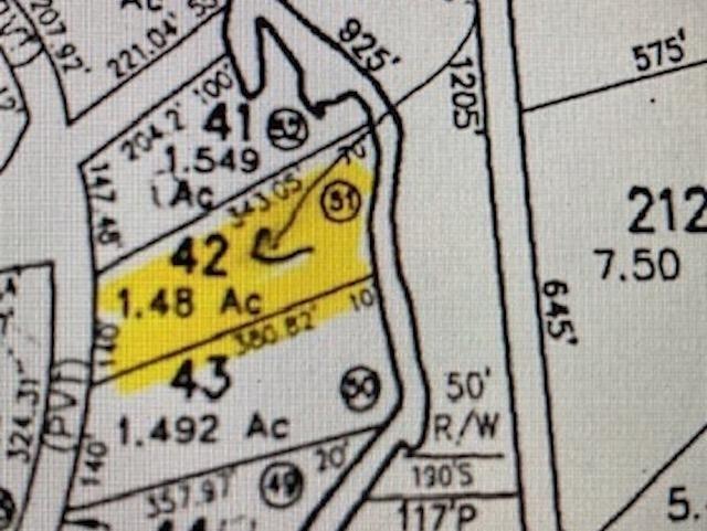 42 Trout Run, Effingham, NH 03882 - photo 1