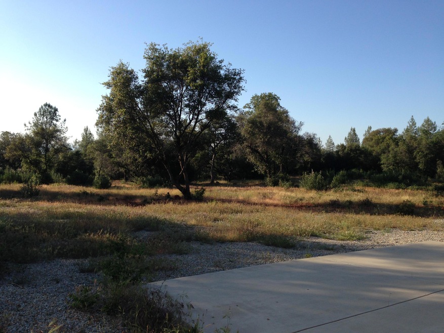 Beautiful 10.75 acres