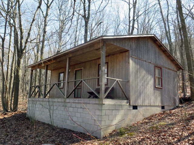 Main View