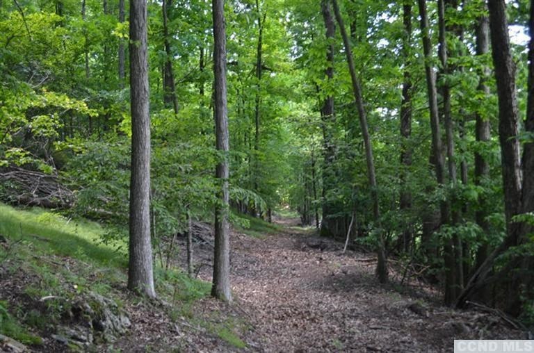 0 Shun Toll Rd, Hillsdale, NY 12529 - photo 1