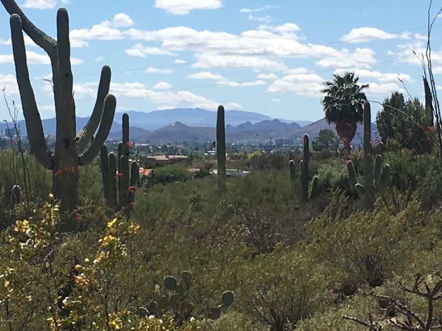 Catalina Foothills City & Mountain View