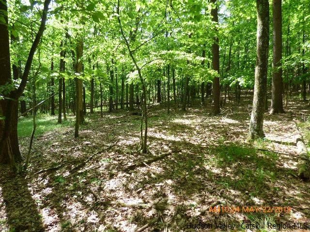 2022 Berme Rd, Kerhonkson, NY 12446 - photo 1