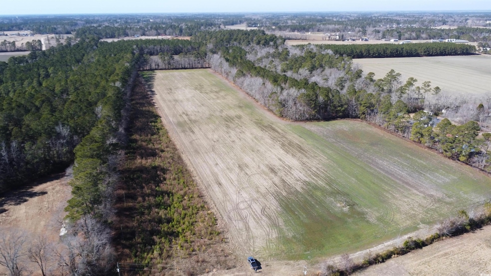 Bird's eye view featuring a rural view