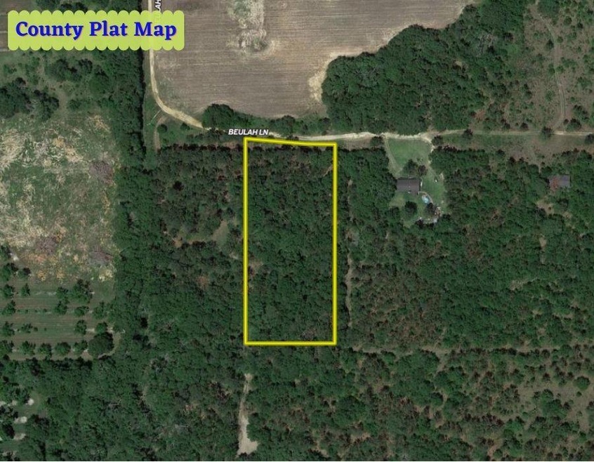 0000 Beulah Ln, Baconton, GA 31716 - photo 1