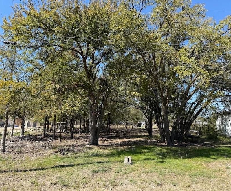 View of yard featuring view of scattered trees
