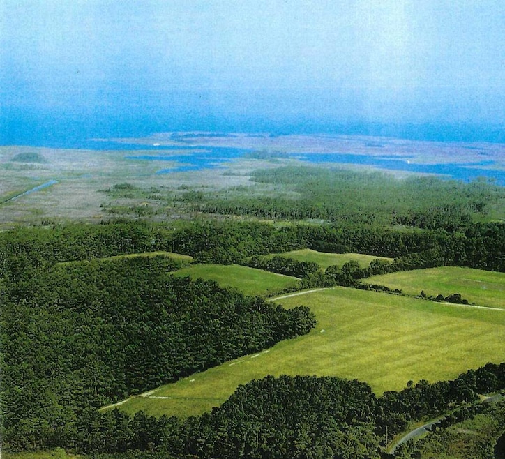 Main View