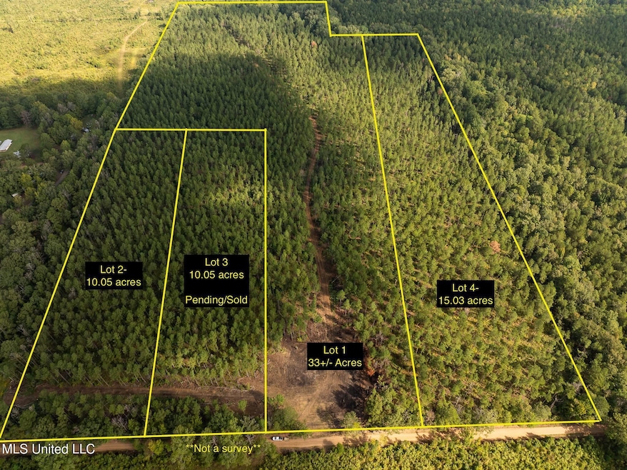 0 Pisgah Rd, Brandon, MS 39047 - photo 1