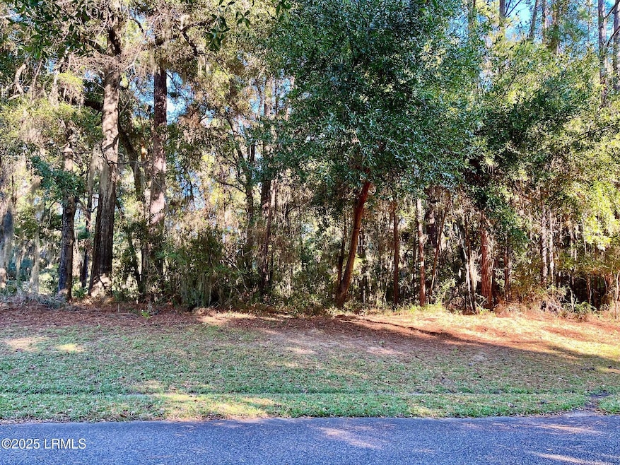 6 Shade Tree Ln, Lady's Island, SC 29907 - photo 1