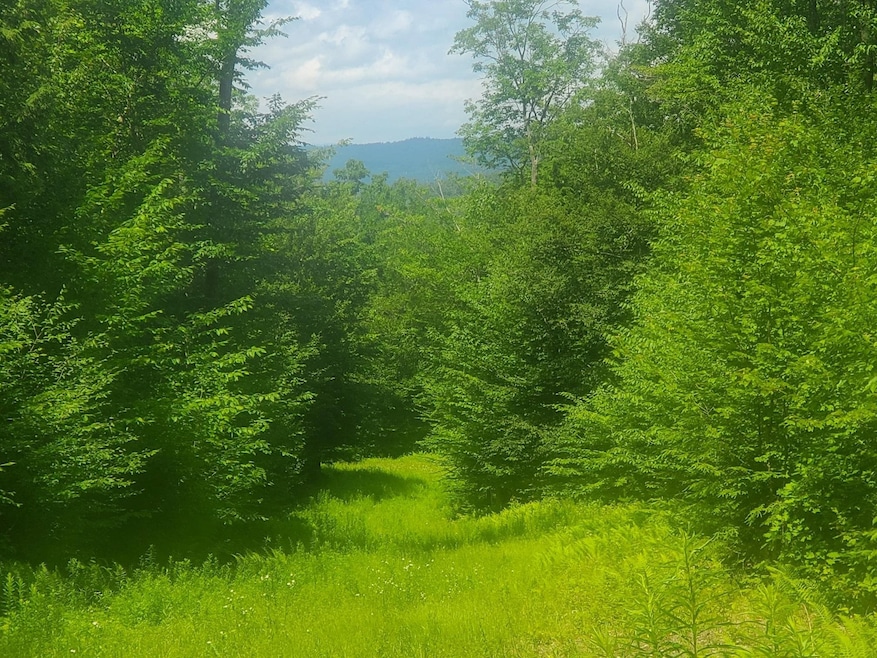 Land