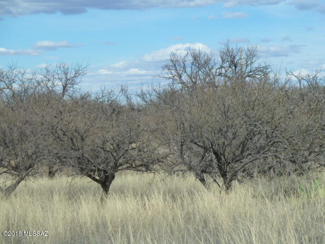 P1040321