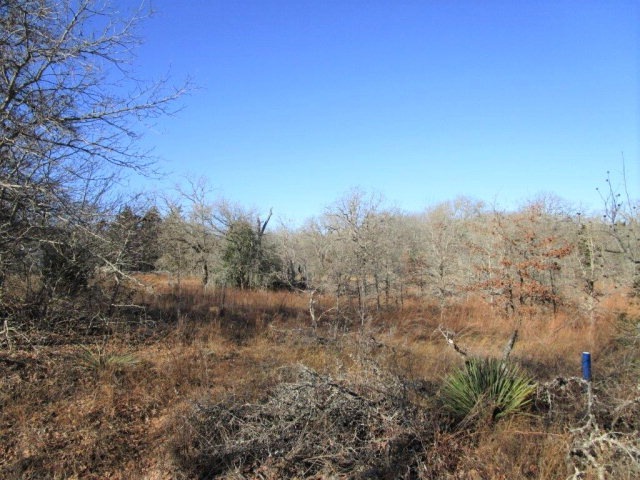 0000 Brentwood Dr, Athens, TX 75751 - photo 1