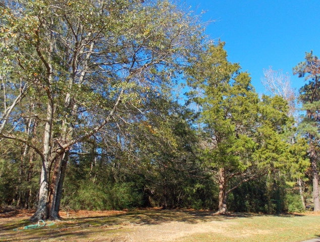 Lot 5 Cedar Ridge Rd, McComb, MS 39648 - photo 1