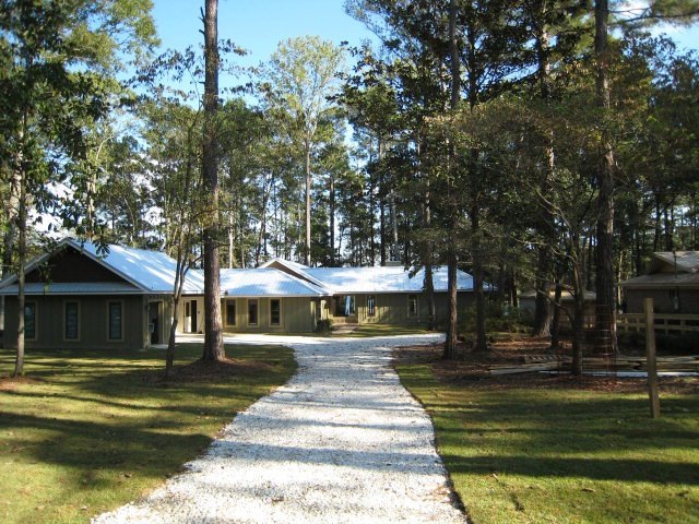 Main View