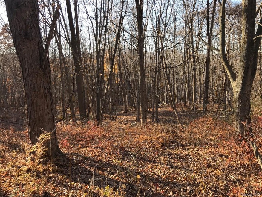 0 Rockwald Rd unit H6089204, Philipstown, NY 10516 - photo 1