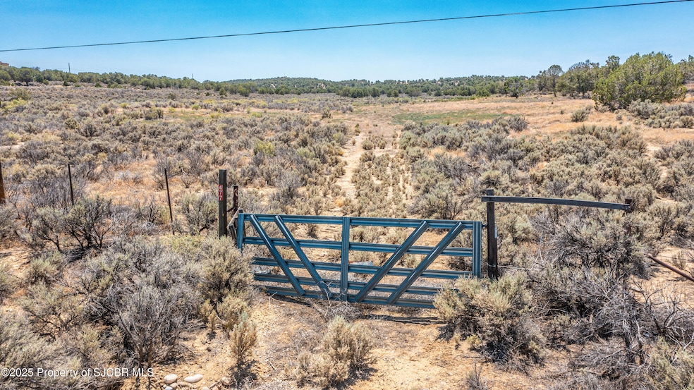 DJI_0559