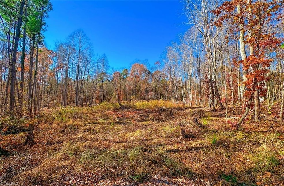 170 Hash Ln, Summerfield, NC 27358 - photo 1