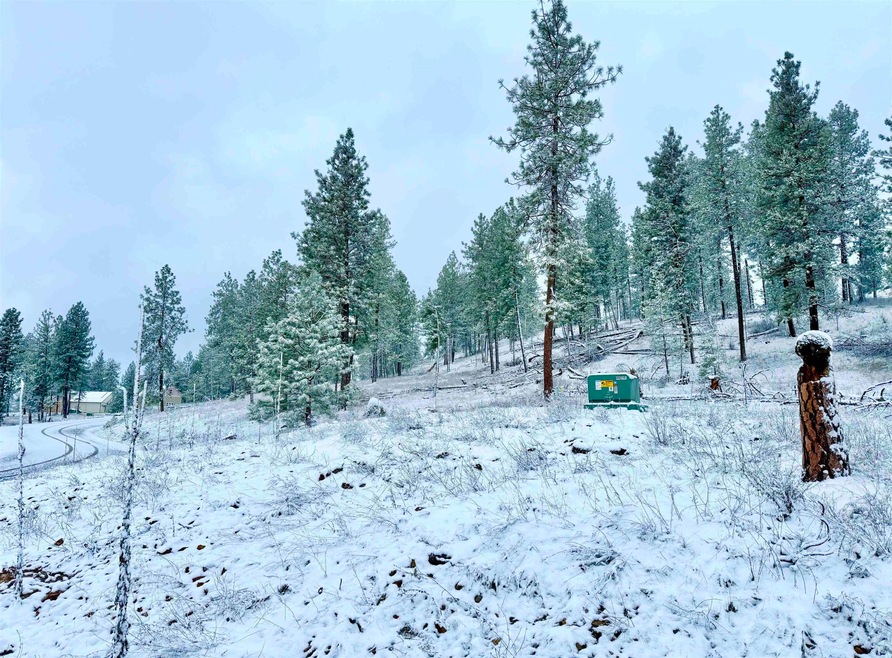 715 Palmer Ln, Chewelah, WA 99109 - photo 1