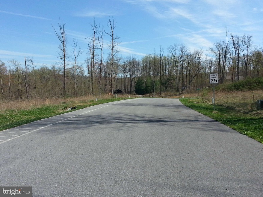 0 Mentzer Gap Rd unit 1003454994, Waynesboro, PA 17268 - photo 1