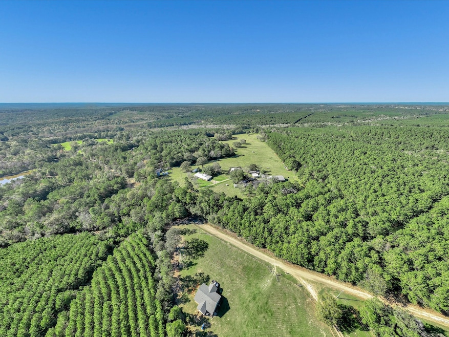 2899 Co Rd 3260, Colmesneil, TX 75938 - photo 1