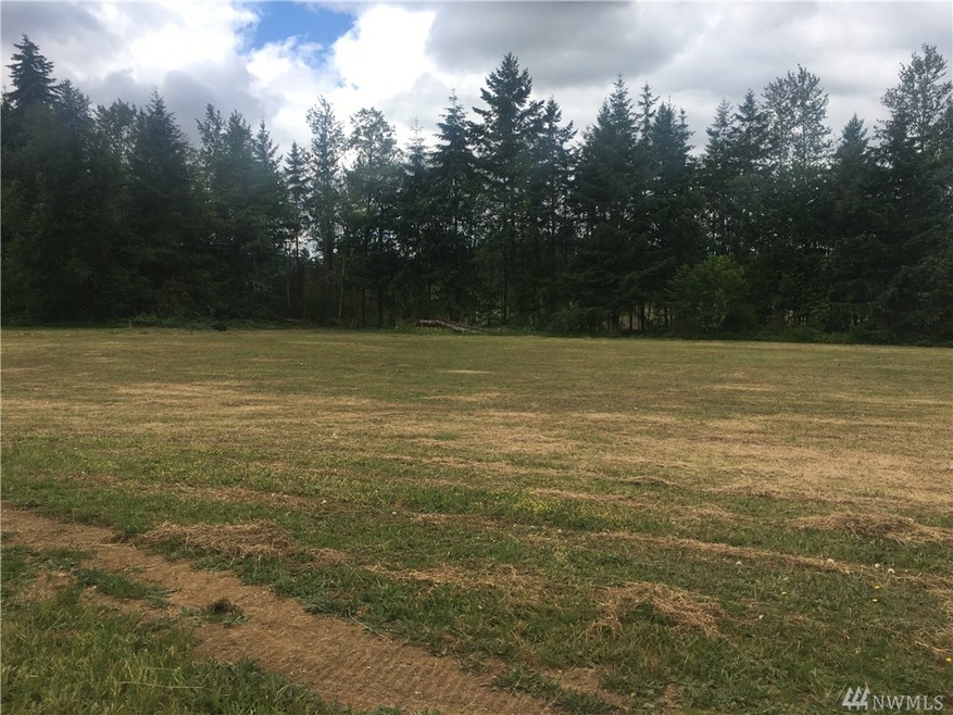 862 Highway 603, Chehalis, WA 98532 - photo 1