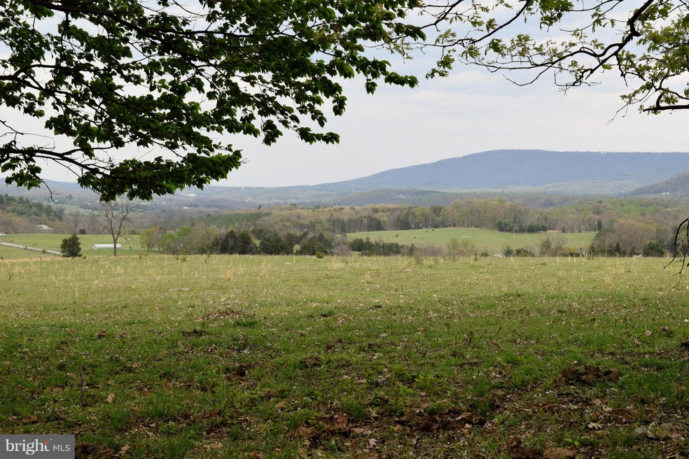 0 Catron Ridge Rd unit 1000405215, Bentonville, VA 22610 - photo 1