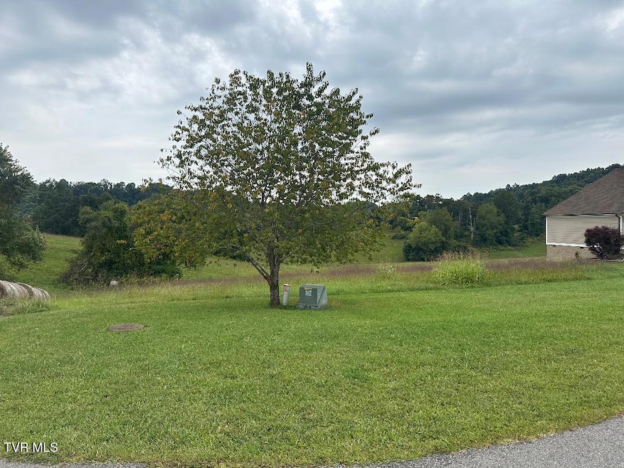 TBD Walton Ridge Rd, Bristol, VA 24202 - photo 1