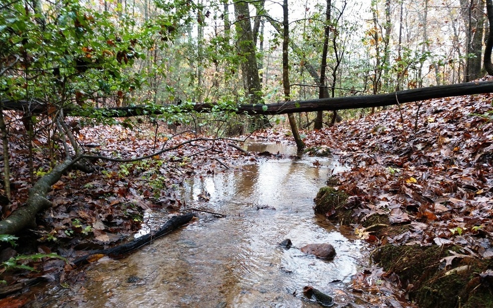 L 62 Quin Springs, Ellijay, GA 30540 - photo 1