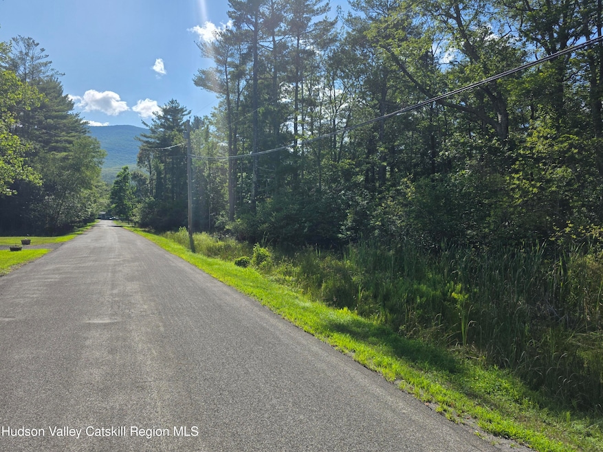 0 Stone Mountain Rd unit 20250692, Round Top, NY 12473 - photo 1