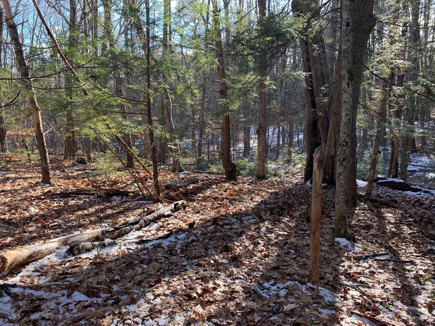 Heavily Wooded throughout