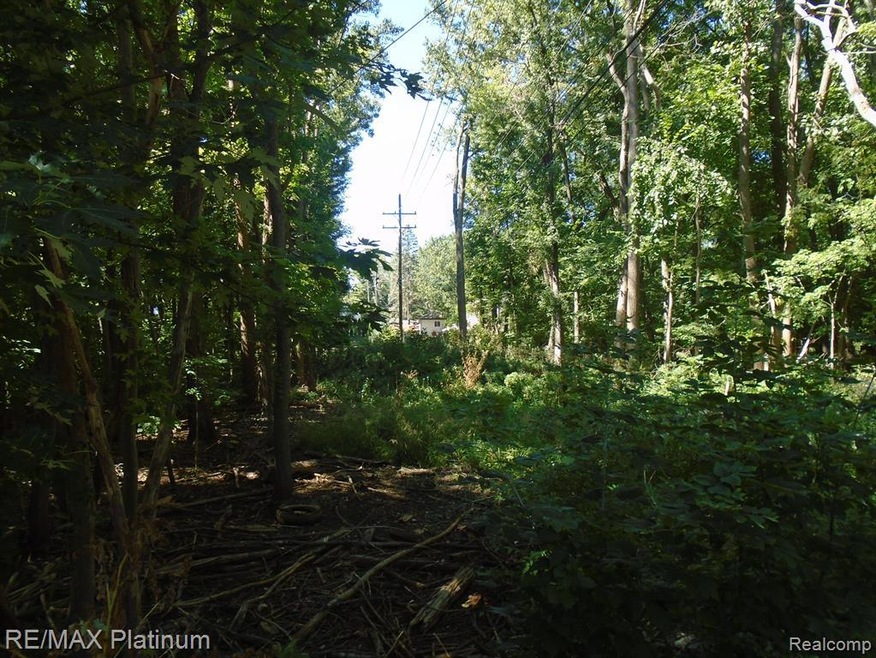 Large Wooded Parcel