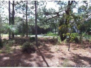 Beautiful treed acreage