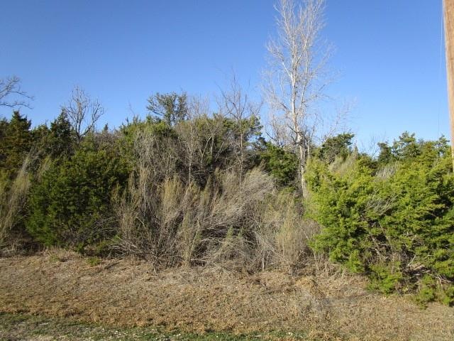 4109 Whitecrest Dr, Whitney, TX 76692 - photo 1