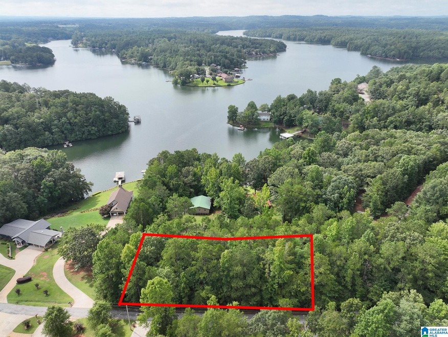 0 Swagg Cove Rd unit 1330614, Wedowee, AL 36278 - photo 1