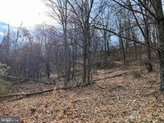 49.76 Acres Ewing Dr, Baker, WV 26801 - photo 1