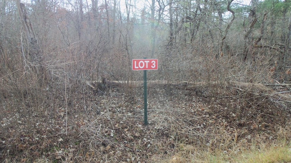 Lot 3 Ferry Rd, Grantsburg Township, WI 54840 - photo 1