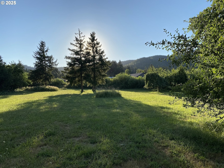 0 1st St, Yoncalla, OR 97499 - photo 1